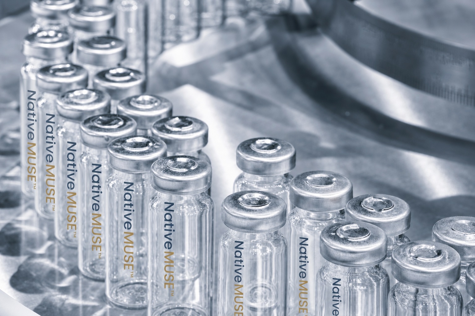 NativeMUSE cryopreserved MUSE cell product vials